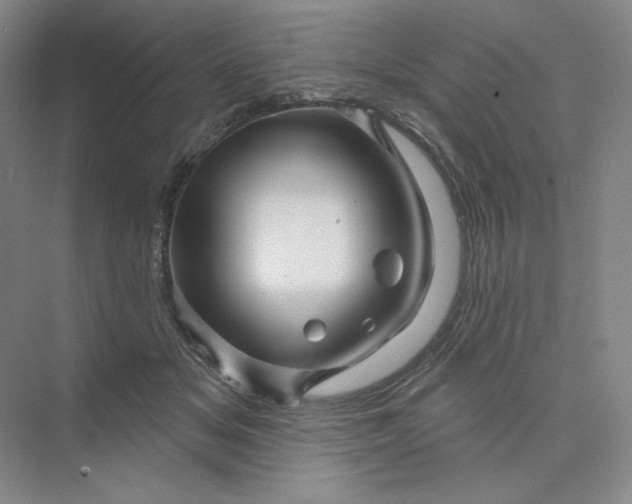 X0000075900509200609291735