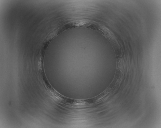 X0000075900510200609291735