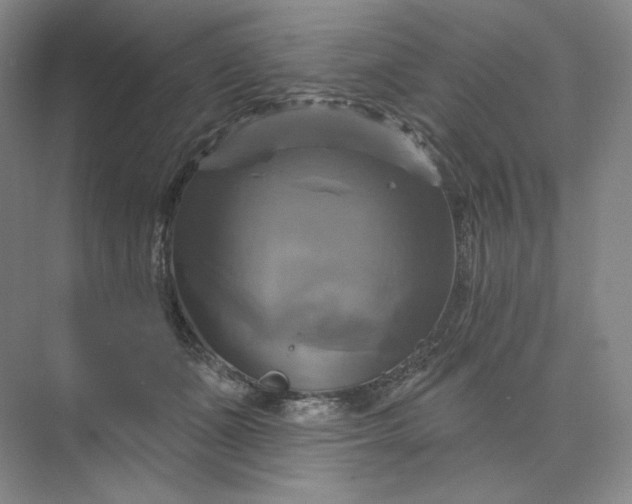 X0000075900511200609291735