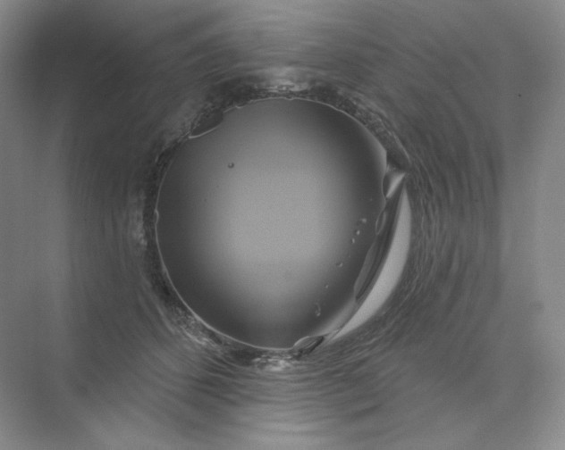 X0000075900512200609291735