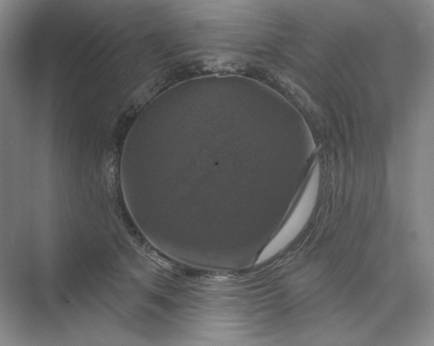 X0000075900513200609291735