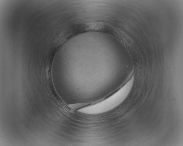 X0000075900514200609291735