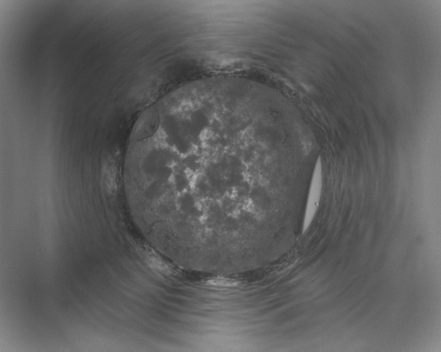 X0000075900515200609291735