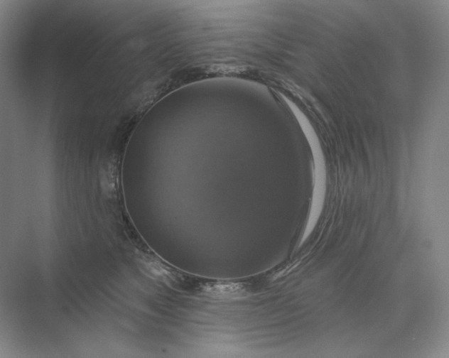 X0000075900517200609291735