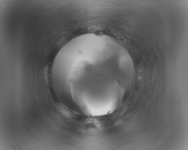 X0000075900519200609291735