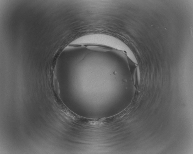 X0000075900520200609291735