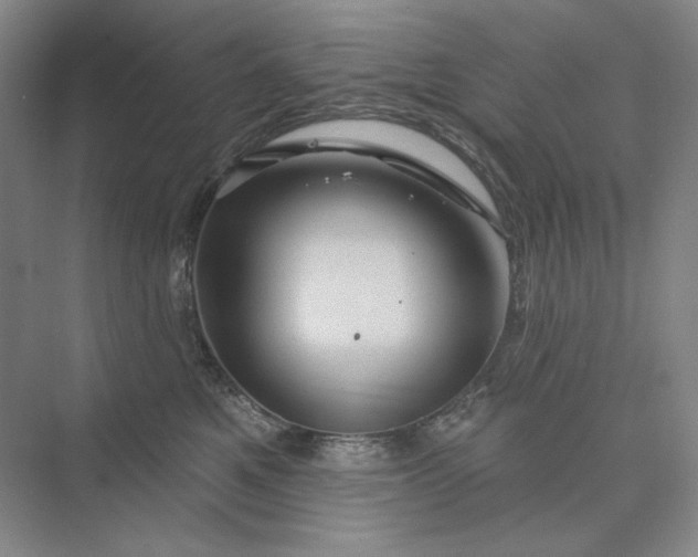 X0000075900521200609291735