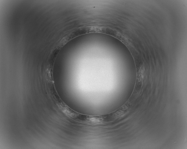 X0000075900522200609291735