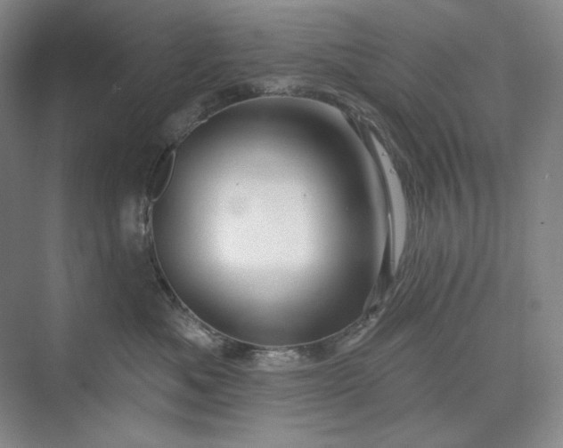 X0000075900525200609291735