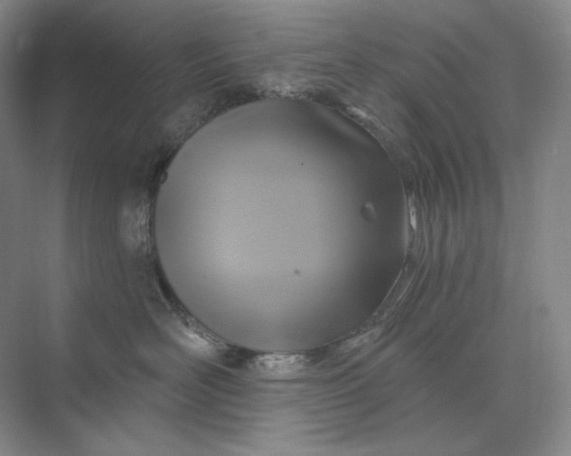 X0000075900526200609291735