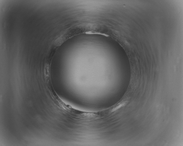 X0000075900528200609291735