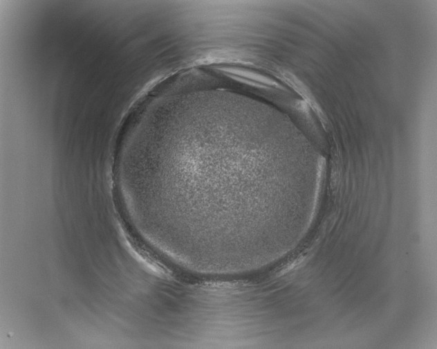 X0000075900530200609291734