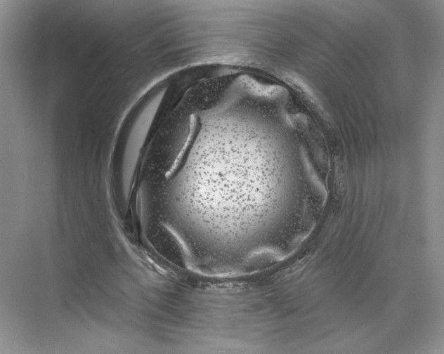 X0000075900532200609291734