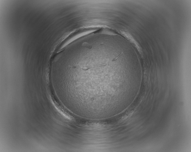 X0000075900533200609291734