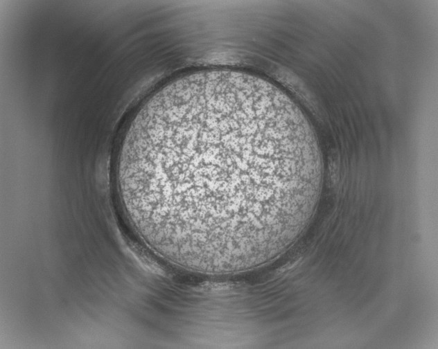 X0000075900534200609291734