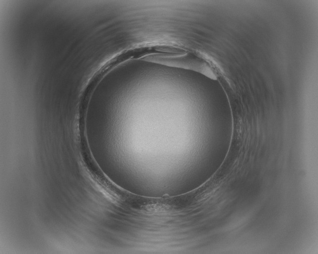 X0000075900535200609291734