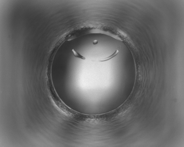 X0000075900538200609291734