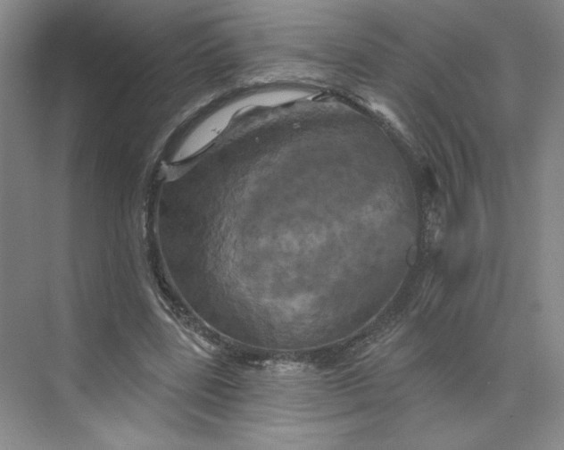 X0000075900539200609291734