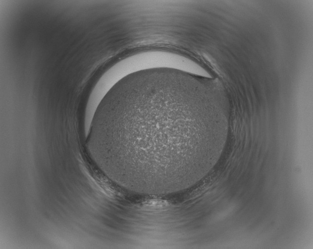 X0000075900543200609291734