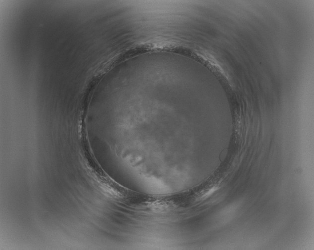 X0000075900545200609291734