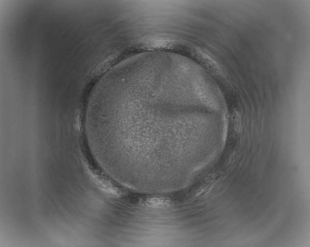 X0000075900546200609291734