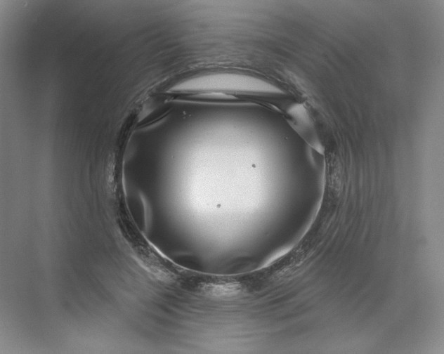 X0000075900548200609291734