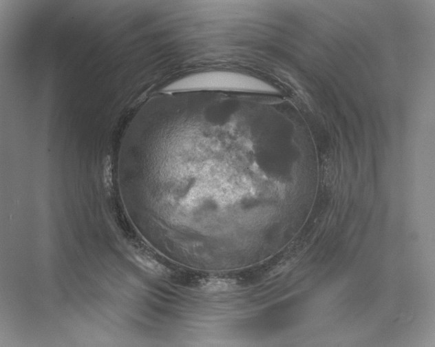 X0000075900549200609291734