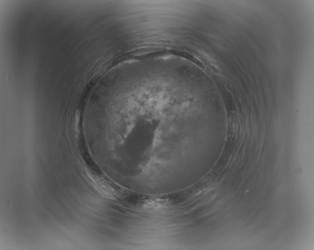 X0000075900550200609291734