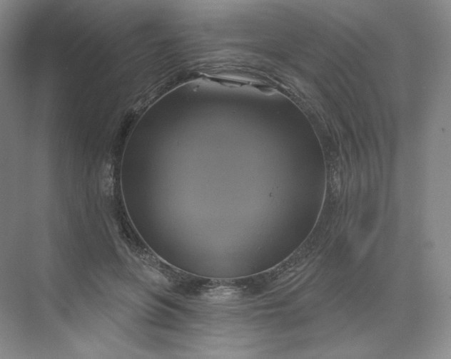 X0000075900551200609291734