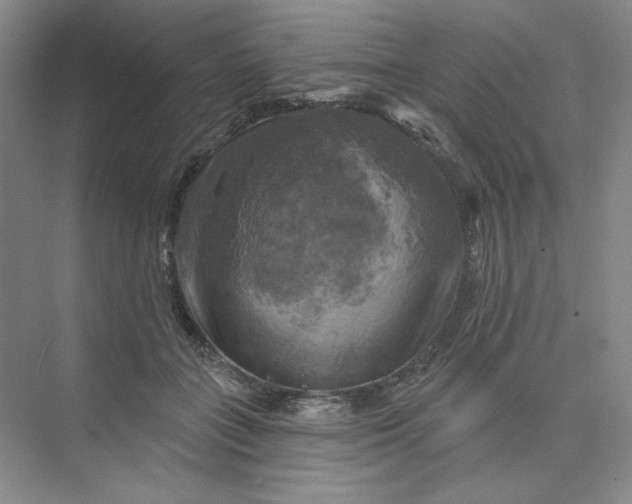 X0000075900555200609291735