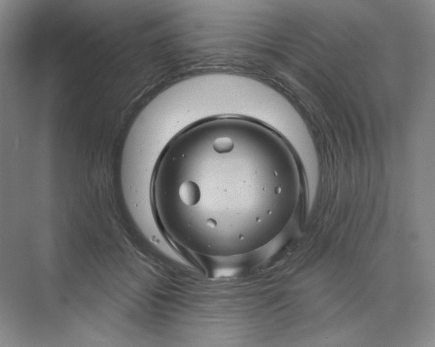 X0000075900556200609291735