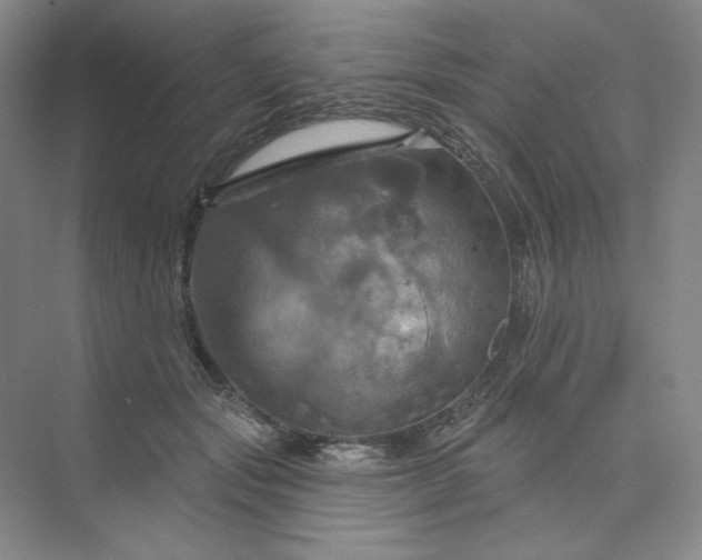 X0000075900557200609291735