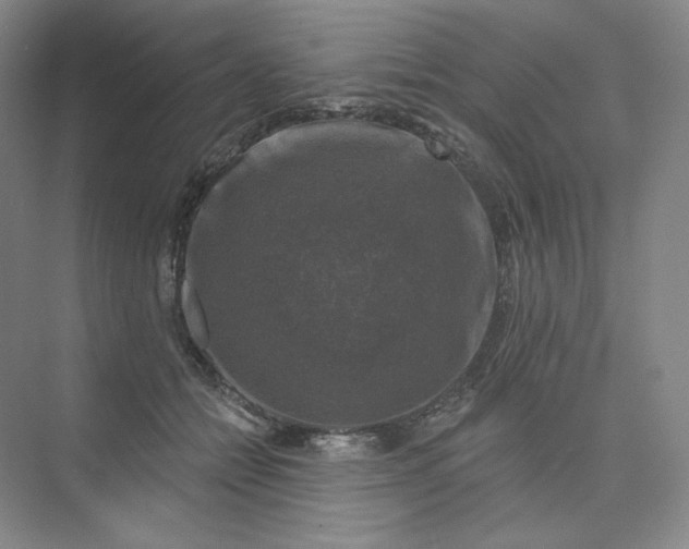 X0000075900558200609291735