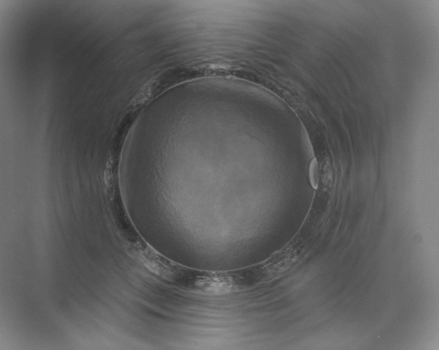 X0000075900559200609291735