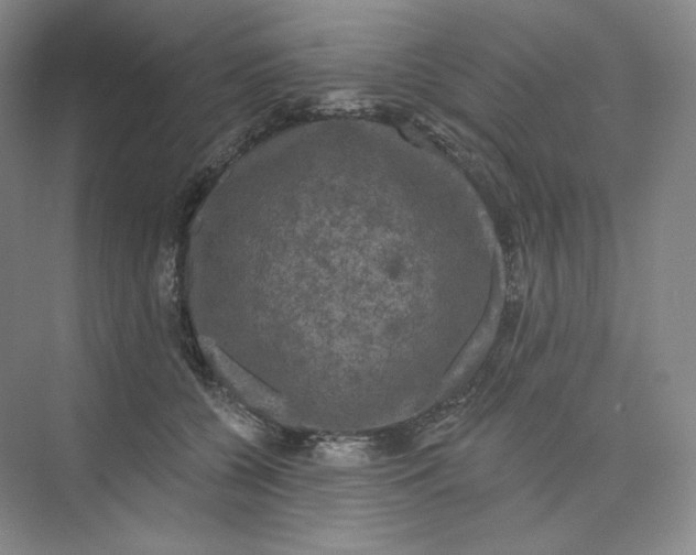 X0000075900560200609291735