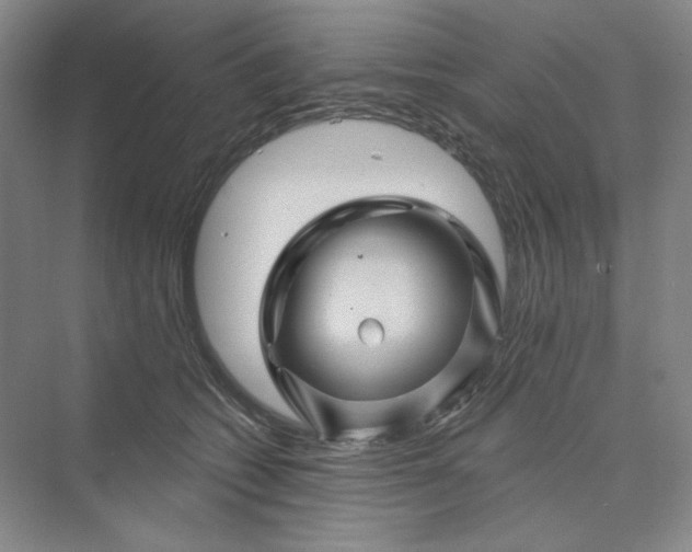 X0000075900562200609291735