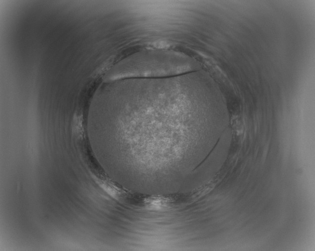 X0000075900564200609291735