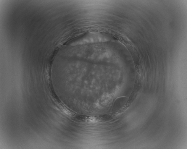 X0000075900565200609291735