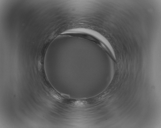 X0000075900566200609291735