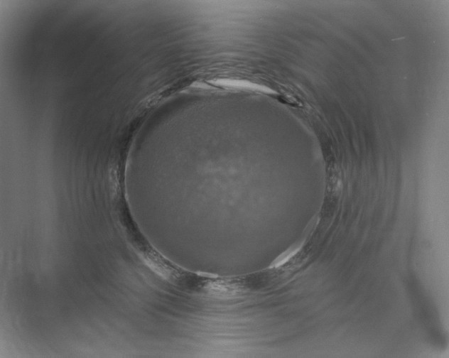 X0000075900568200609291735