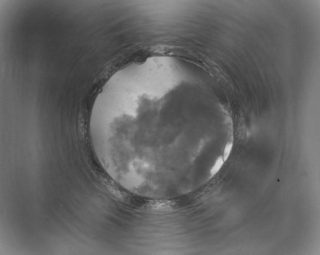 X0000075900569200609291735