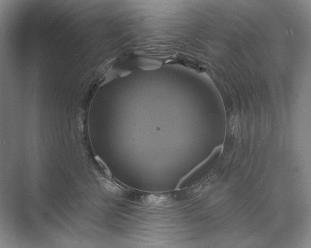 X0000075900570200609291735