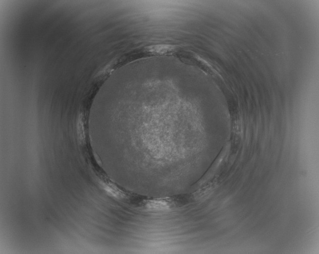 X0000075900572200609291735