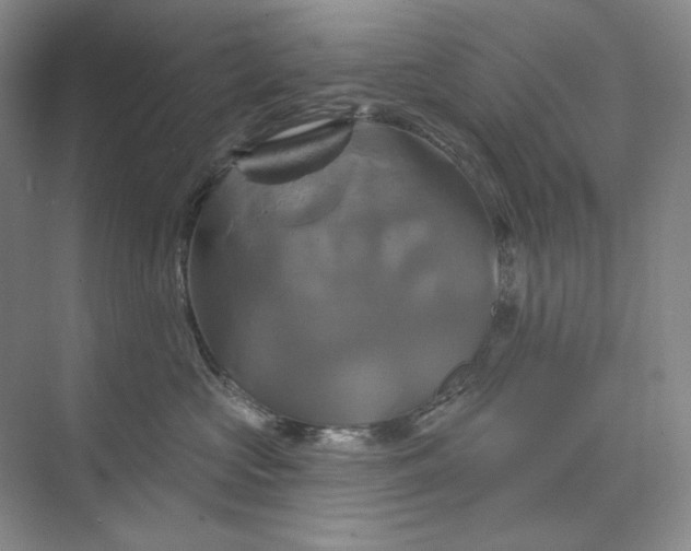 X0000075900573200609291735