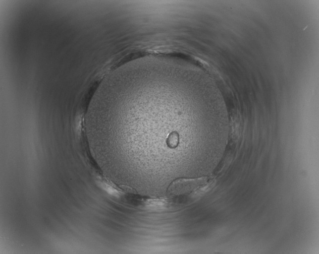 X0000075900574200609291735