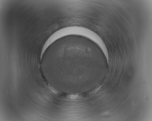 X0000075900575200609291735