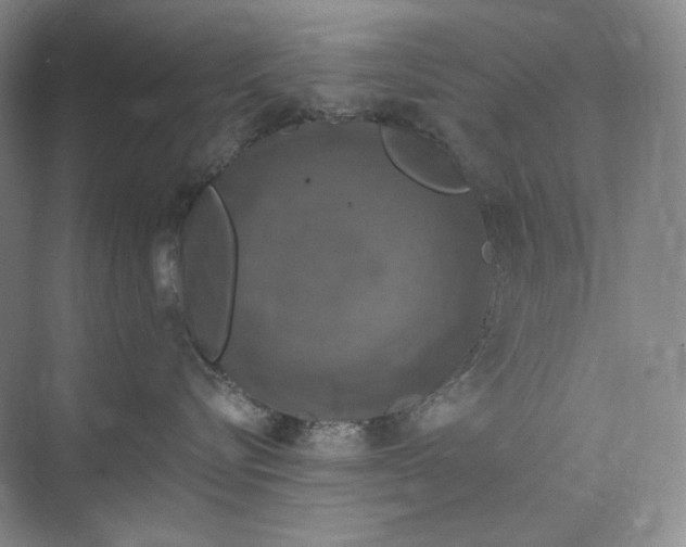 X0000075900576200609291735