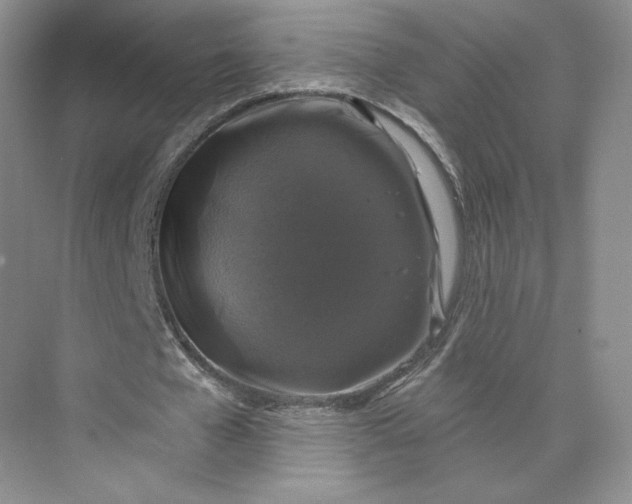 X0000075900577200609291734