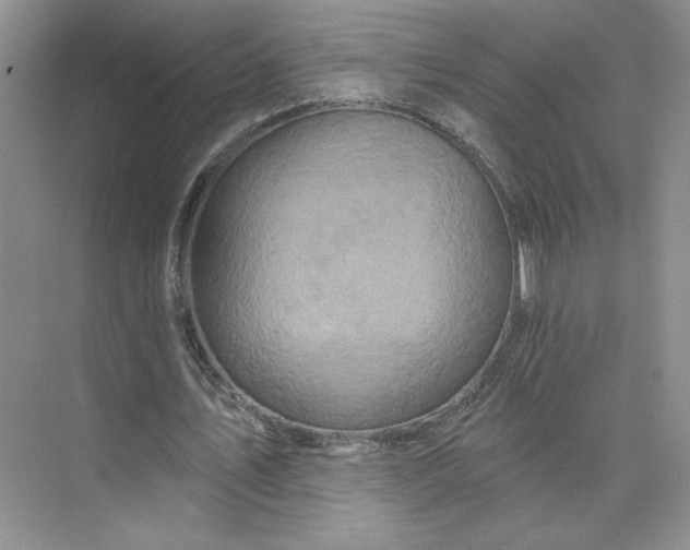 X0000075900579200609291734