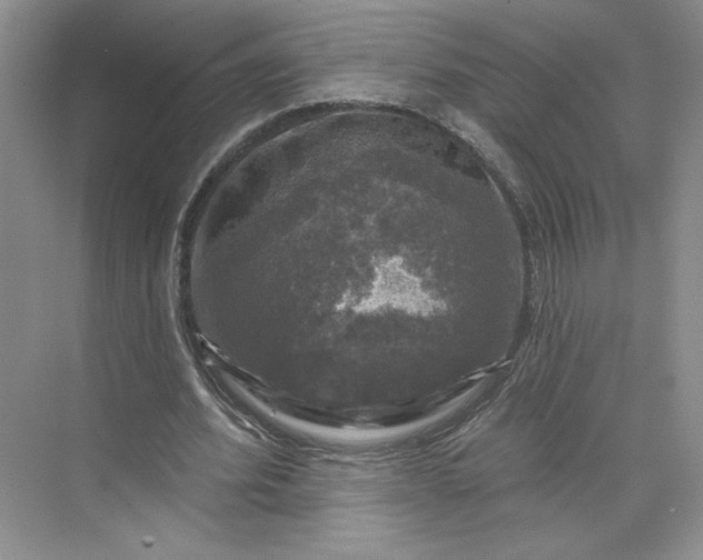 X0000075900580200609291734